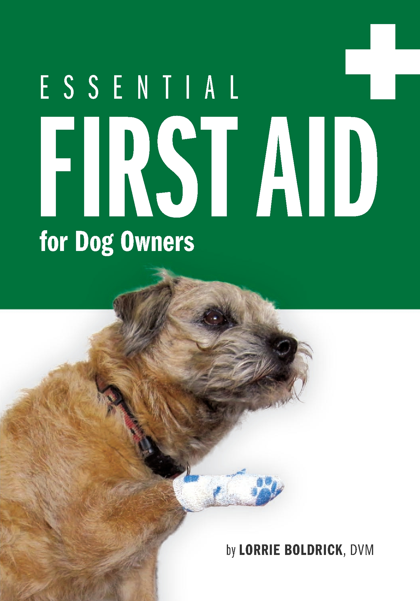 First Aid book cover image