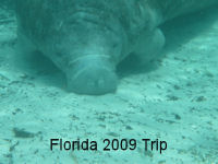 Florida 2009 Trip